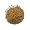 Gynostemma Pentaphyllum Extract